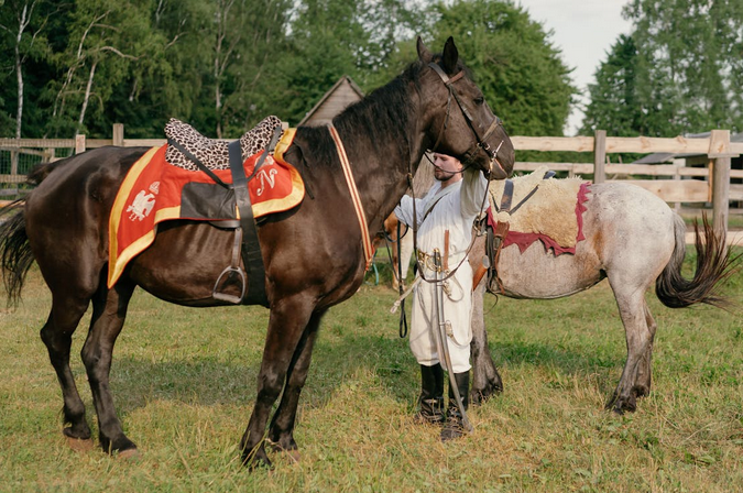 saddle